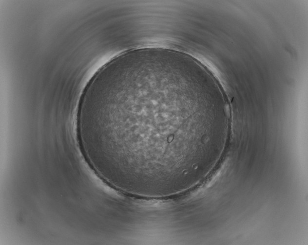 X0000113230949200909101208