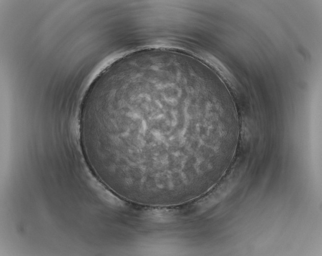 X0000113230950200909101208