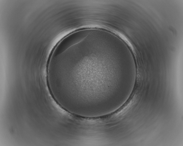 X0000113230951200909101208
