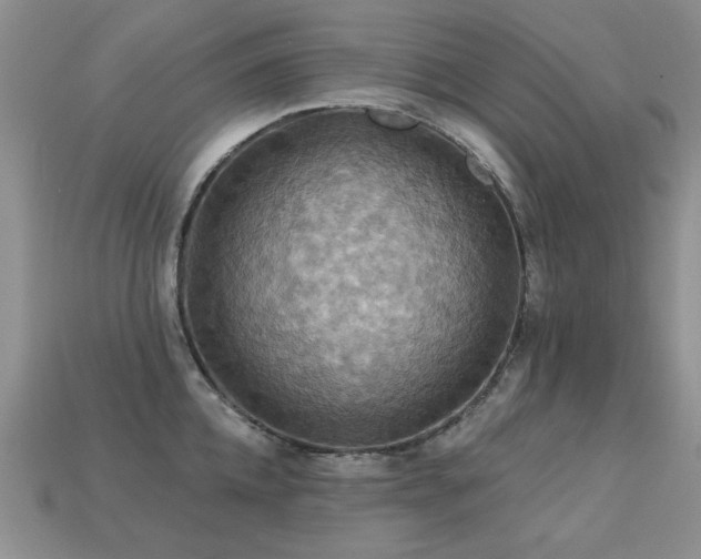 X0000113230952200909101208