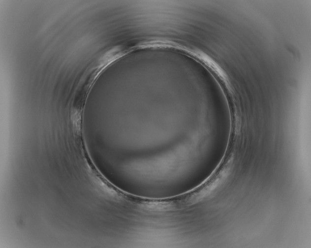 X0000113230953200909101208