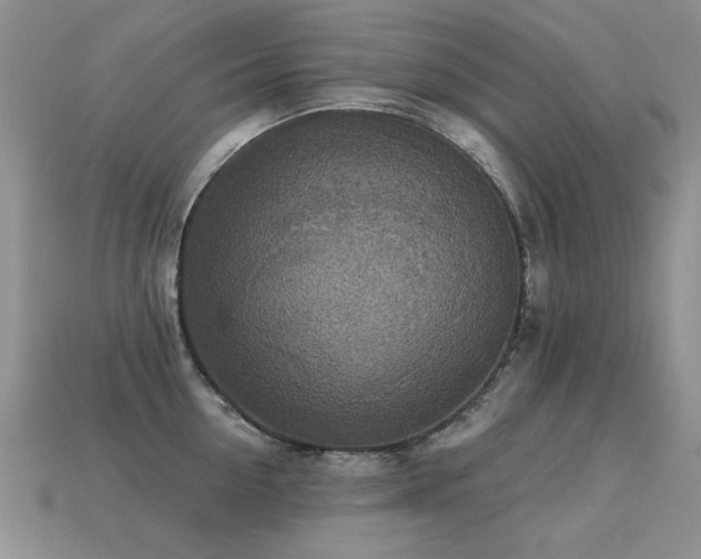 X0000113230954200909101208