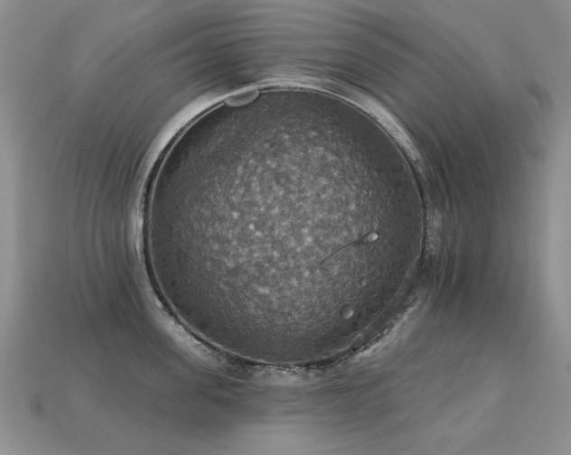 X0000113230955200909101208
