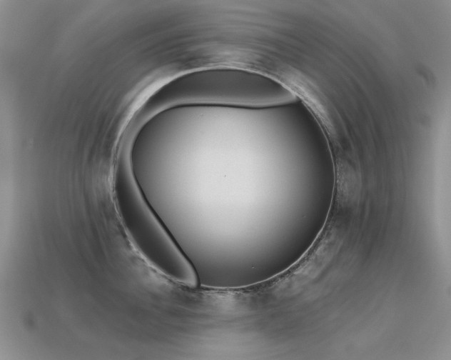 X0000113230956200909101208