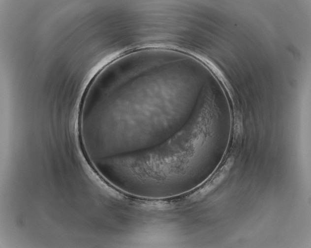 X0000113230957200909101208
