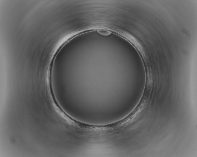 X0000113230958200909101208