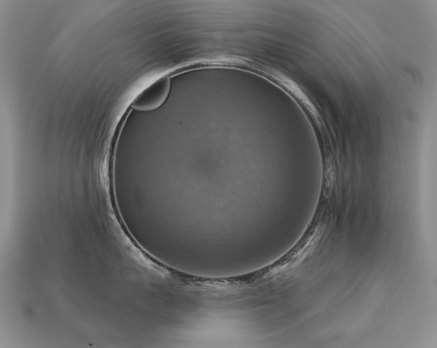 X0000113230959200909101208