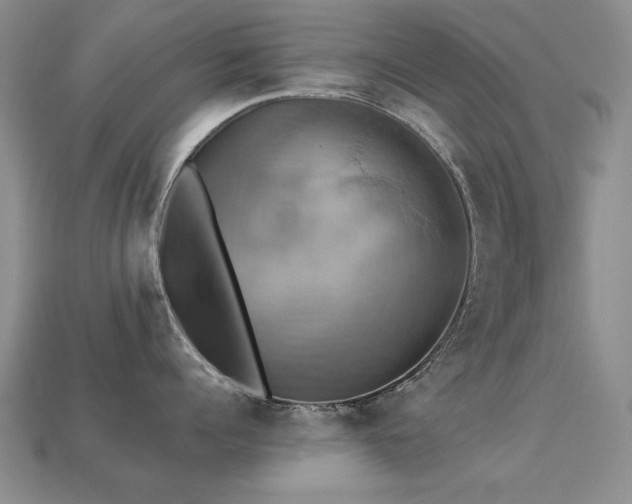 X0000113230960200909101208