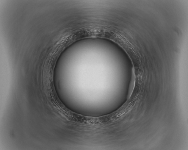 X0000113230961200909101208