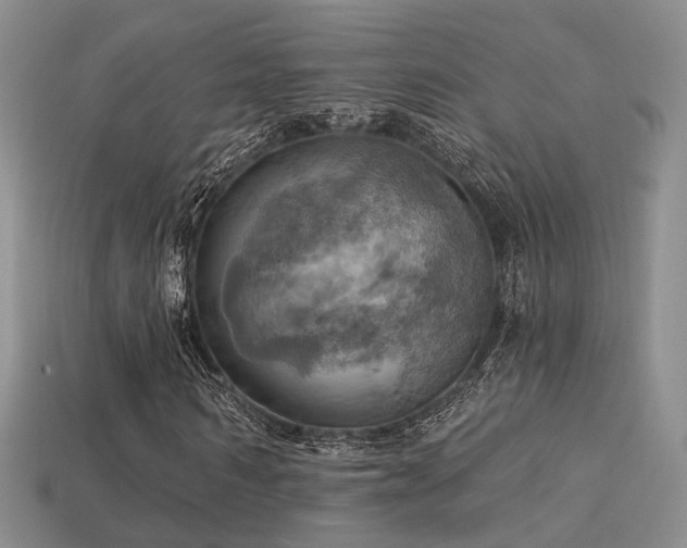 X0000113230962200909101208