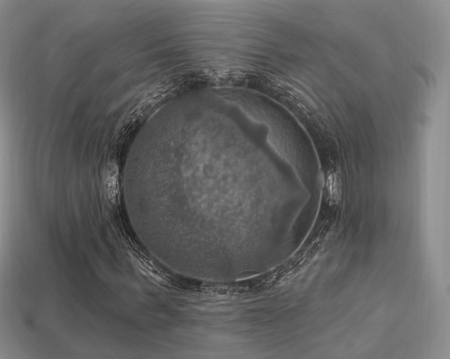 X0000113230963200909101208