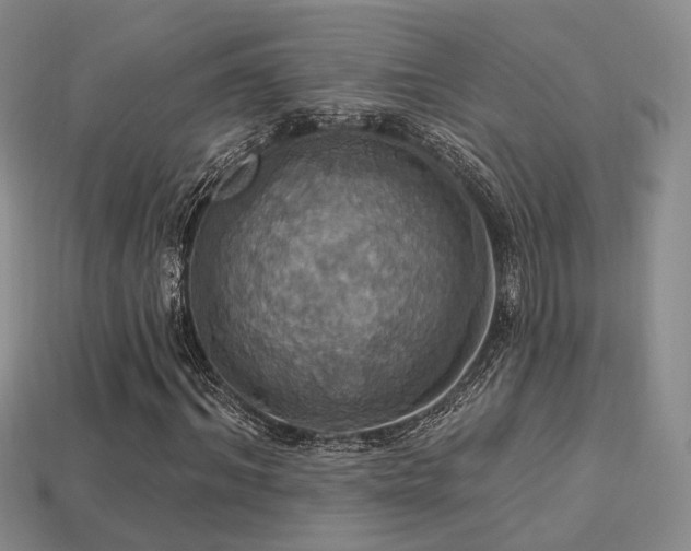 X0000113230964200909101208