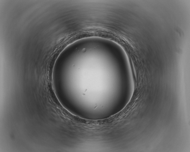 X0000113230965200909101208