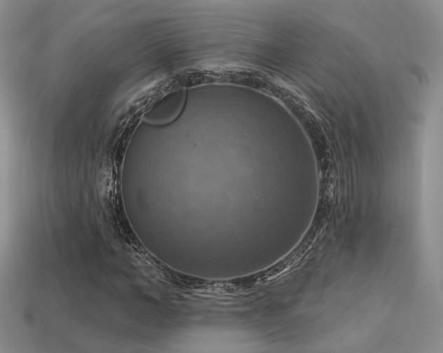 X0000113230966200909101208