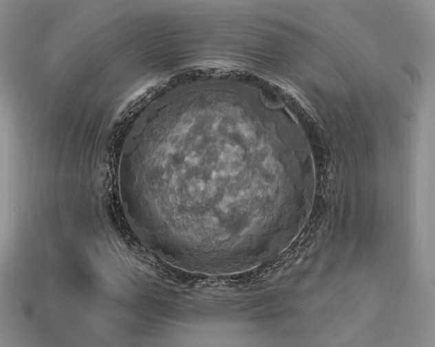 X0000113230967200909101208