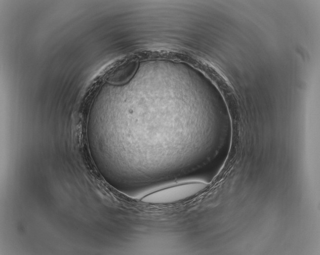 X0000113230968200909101208