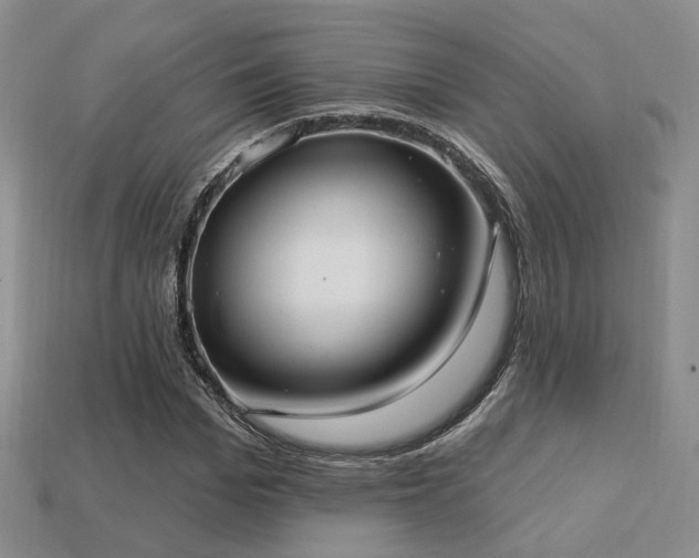 X0000113230969200909101208