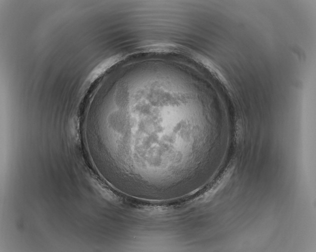 X0000113230970200909101208