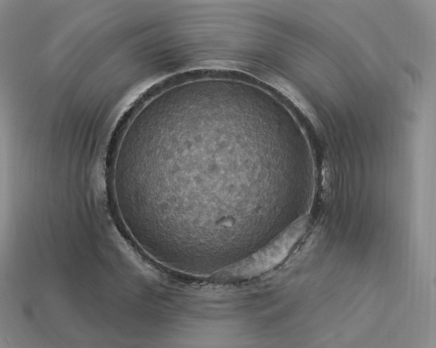 X0000113230972200909101207