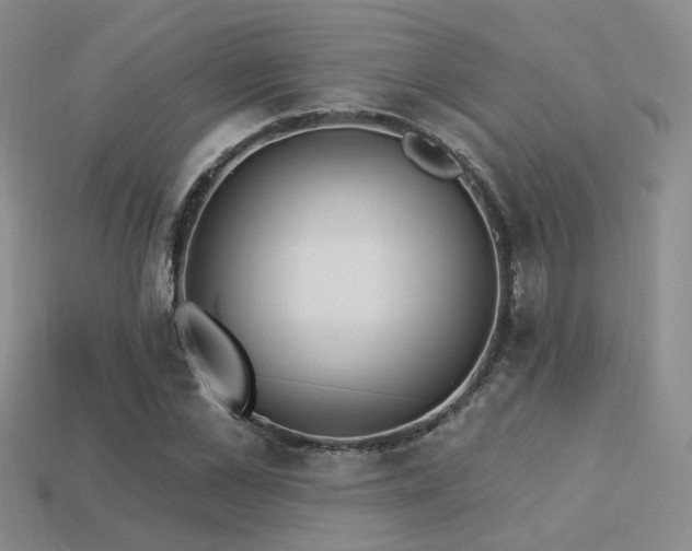 X0000113230973200909101207