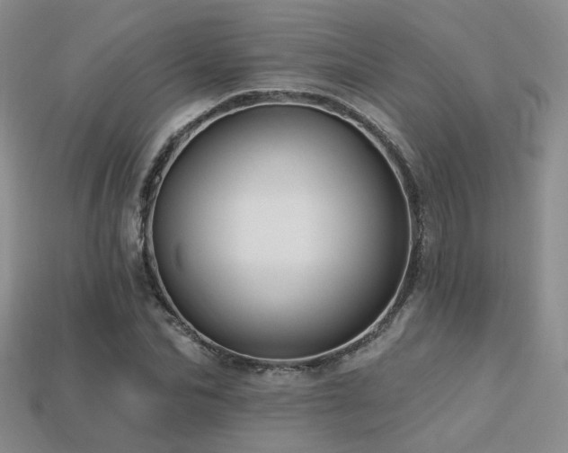 X0000113230974200909101207