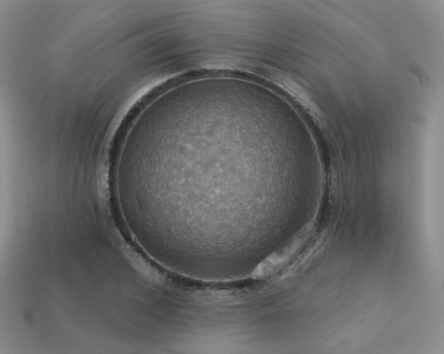 X0000113230976200909101207