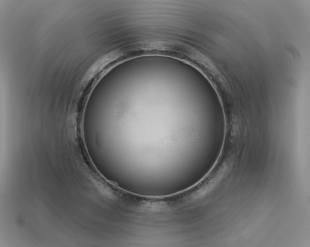 X0000113230978200909101207