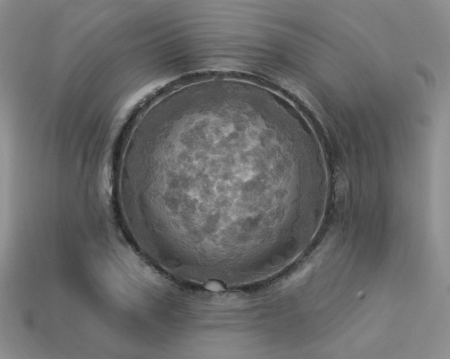 X0000113230979200909101207