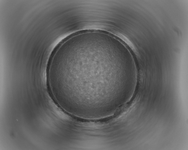 X0000113230980200909101207