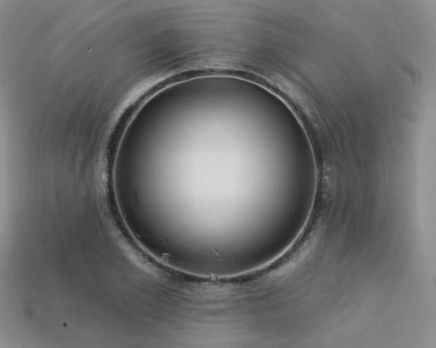 X0000113230981200909101207