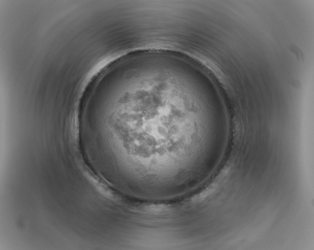 X0000113230982200909101207