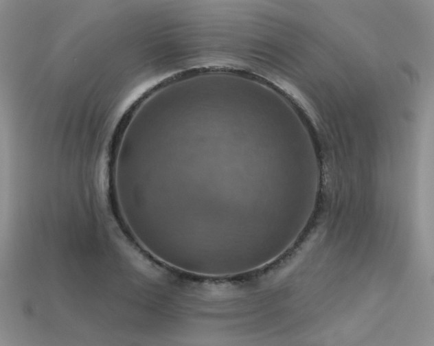 X0000113230983200909101207