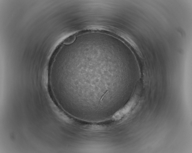 X0000113230984200909101207