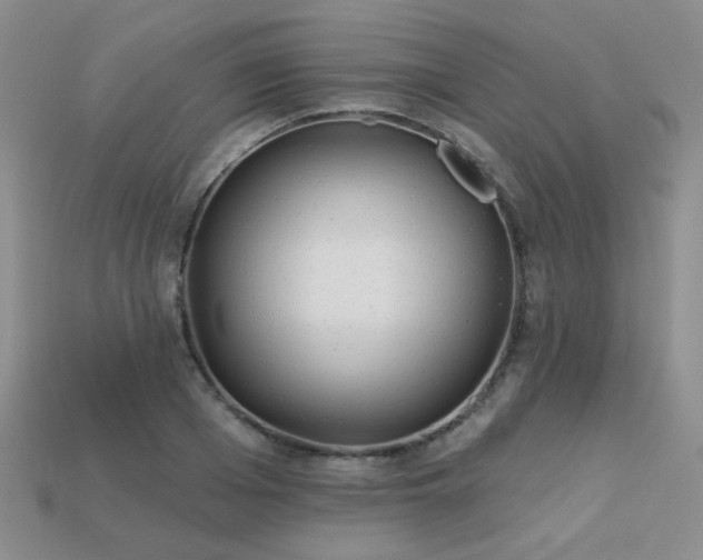 X0000113230985200909101207