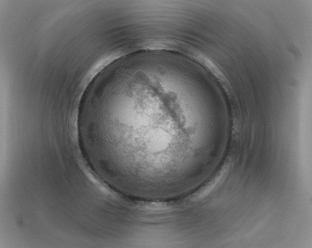 X0000113230986200909101207