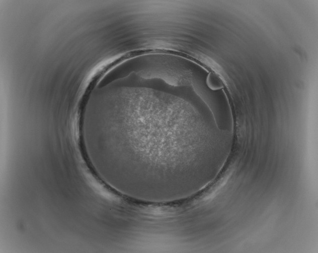 X0000113230987200909101207