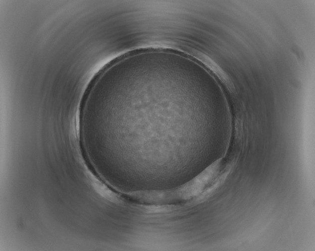 X0000113230988200909101207