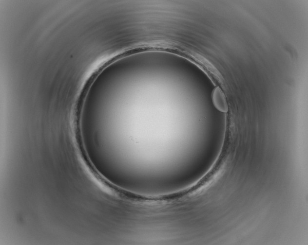 X0000113230989200909101207