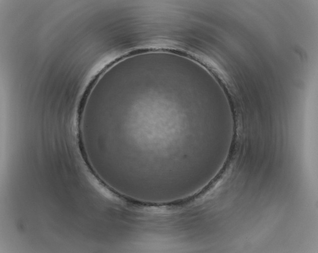X0000113230990200909101207