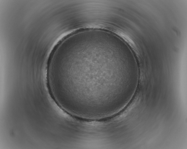X0000113230992200909101207