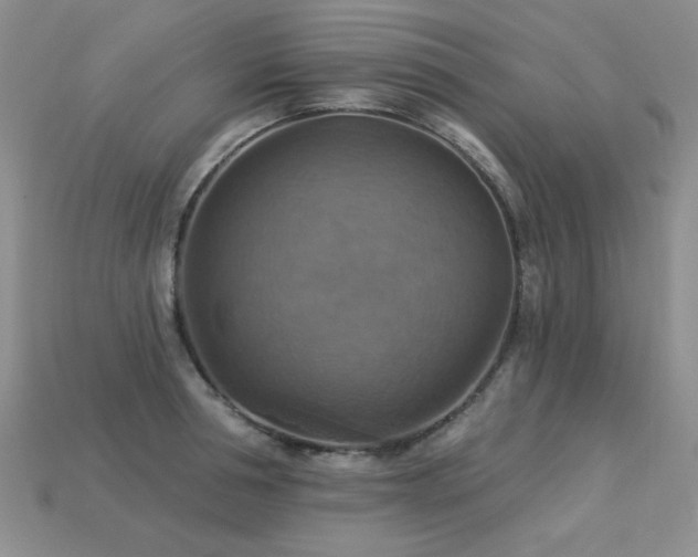 X0000113230994200909101207