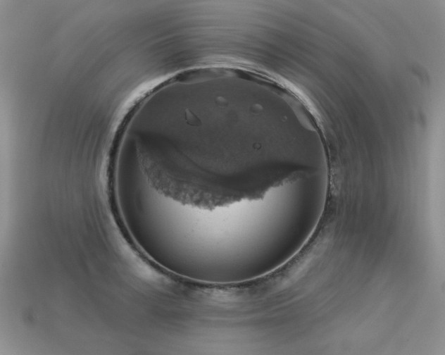 X0000113230995200909101207
