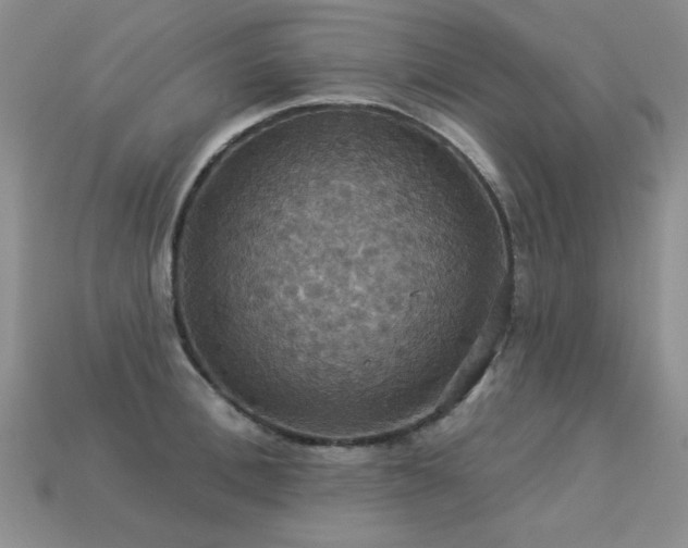 X0000113230996200909101207