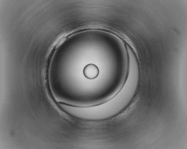 X0000113230997200909101207