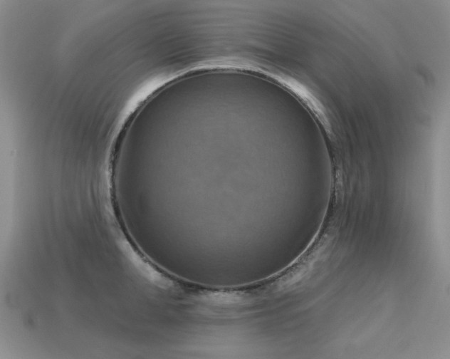 X0000113230998200909101207