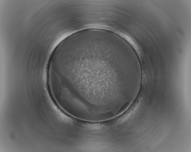 X0000113230999200909101207