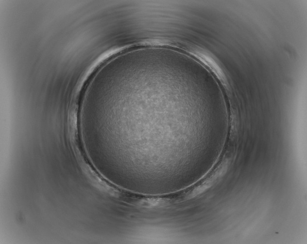 X0000113231000200909101207