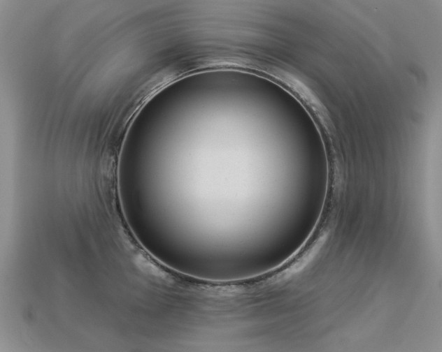 X0000113231001200909101207