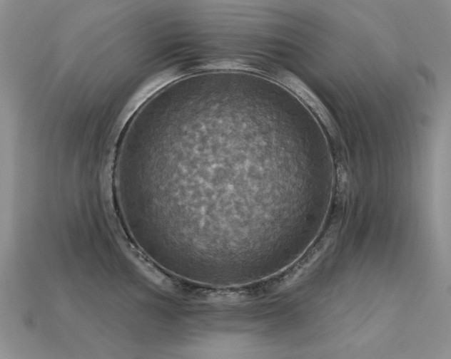 X0000113231002200909101207