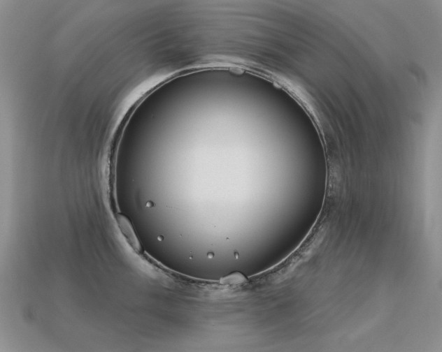 X0000113231003200909101207